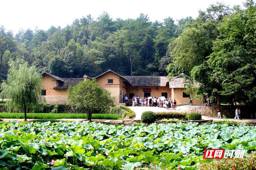 故居荷叶1_副本.jpg 故居荷叶1_副本.jpg